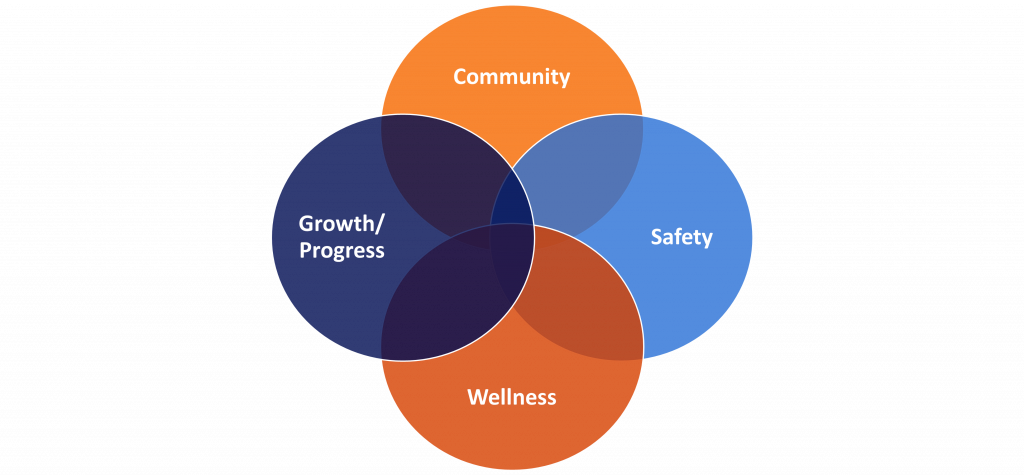 Venn diagram with four interlocking circles. Each circle has a different word: community, safety, wellness, growth/progress